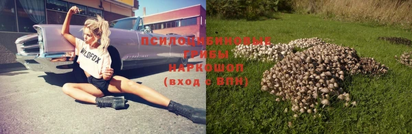МДПВ Волосово